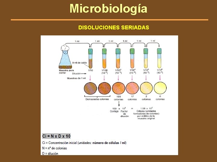Microbiología DISOLUCIONES SERIADAS 