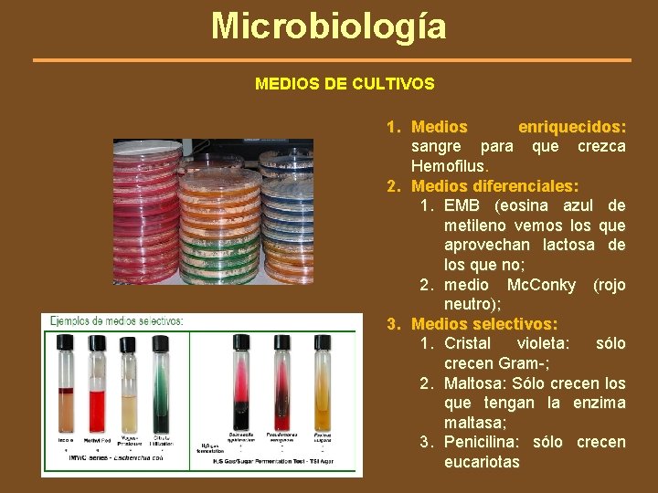 Microbiología MEDIOS DE CULTIVOS 1. Medios enriquecidos: sangre para que crezca Hemofilus. 2. Medios
