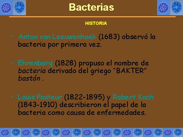 Bacterias HISTORIA • Anton van Leeuwenhoek (1683) observó la bacteria por primera vez. •