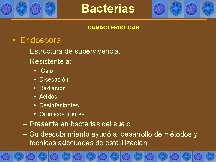 Bacterias CARACTERISTICAS • Endospora – Estructura de supervivencia. – Resistente a: • • •