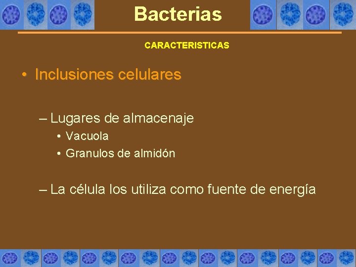 Bacterias CARACTERISTICAS • Inclusiones celulares – Lugares de almacenaje • Vacuola • Granulos de