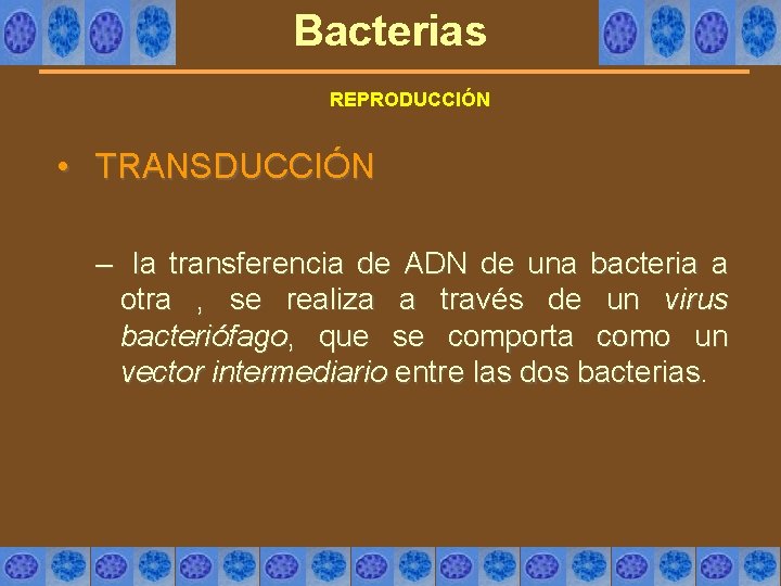 Bacterias REPRODUCCIÓN • TRANSDUCCIÓN – la transferencia de ADN de una bacteria a otra