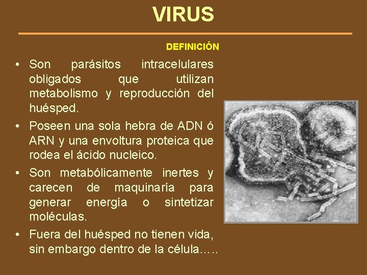 VIRUS DEFINICIÓN • Son parásitos intracelulares obligados que utilizan metabolismo y reproducción del huésped.