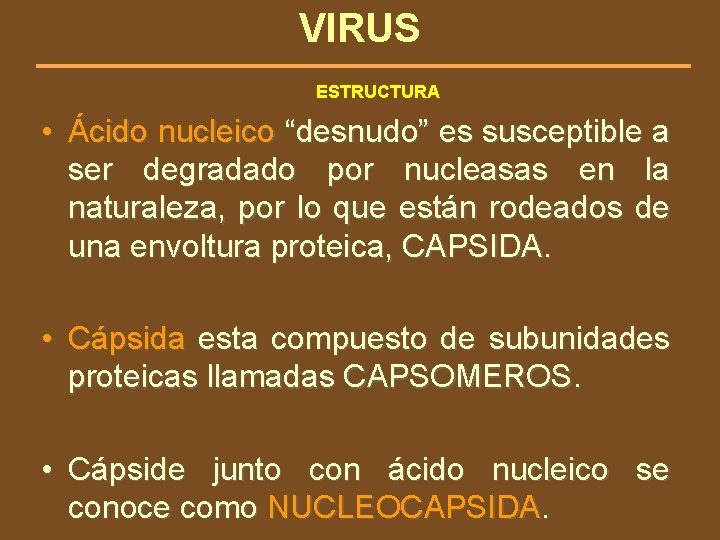 VIRUS ESTRUCTURA • Ácido nucleico “desnudo” es susceptible a ser degradado por nucleasas en
