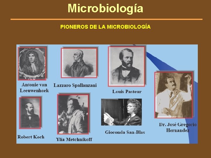 Microbiología PIONEROS DE LA MICROBIOLOGÍA 