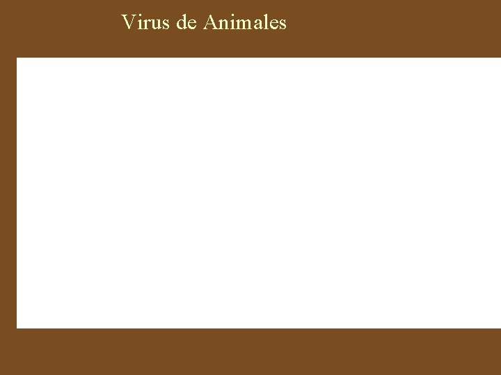 Virus de Animales Ss una hebra, ds doble hebra 
