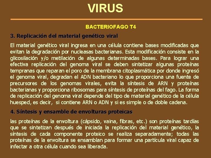 VIRUS BACTERIOFAGO T 4 3. Replicación del material genético viral El material genético viral