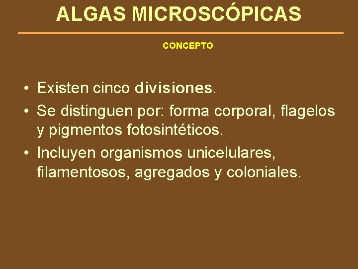 ALGAS MICROSCÓPICAS CONCEPTO • Existen cinco divisiones. • Se distinguen por: forma corporal, flagelos