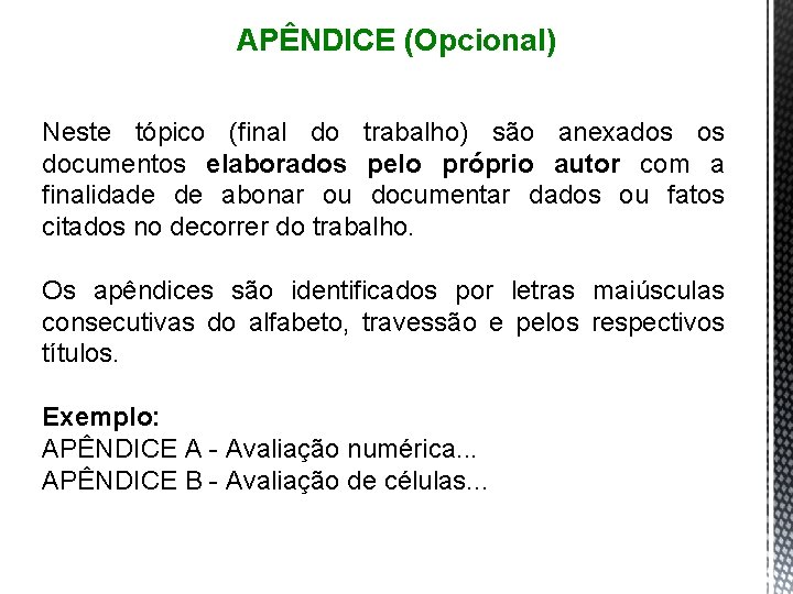 APÊNDICE (Opcional) Neste tópico (final do trabalho) são anexados os documentos elaborados pelo próprio