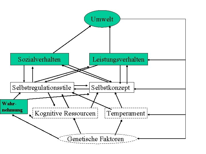 Umwelt Sozialverhalten Leistungsverhalten Selbstregulationsstile Wahrnehmung Selbstkonzept Kognitive Ressourcen Temperament Genetische Faktoren 