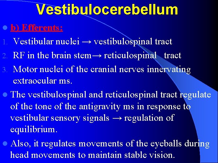 Vestibulocerebellum l b) Efferents: Vestibular nuclei → vestibulospinal tract 2. RF in the brain