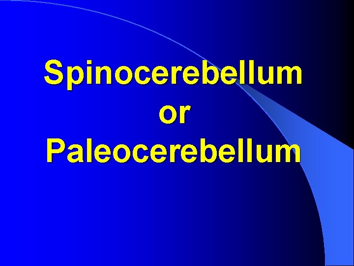Spinocerebellum or Paleocerebellum 