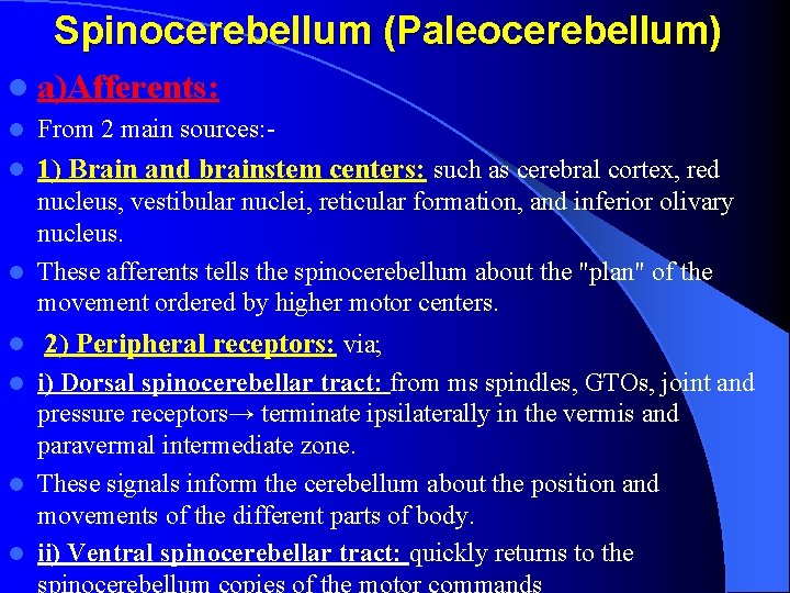 Spinocerebellum (Paleocerebellum) l a)Afferents: l From 2 main sources: - l 1) Brain and