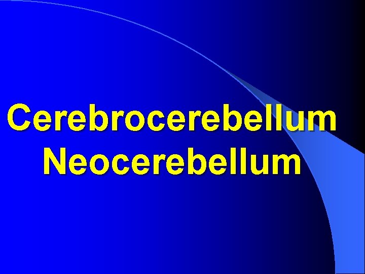 Cerebrocerebellum Neocerebellum 