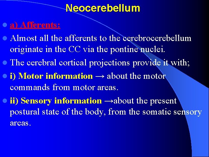 Neocerebellum l a) Afferents: l Almost all the afferents to the cerebrocerebellum originate in