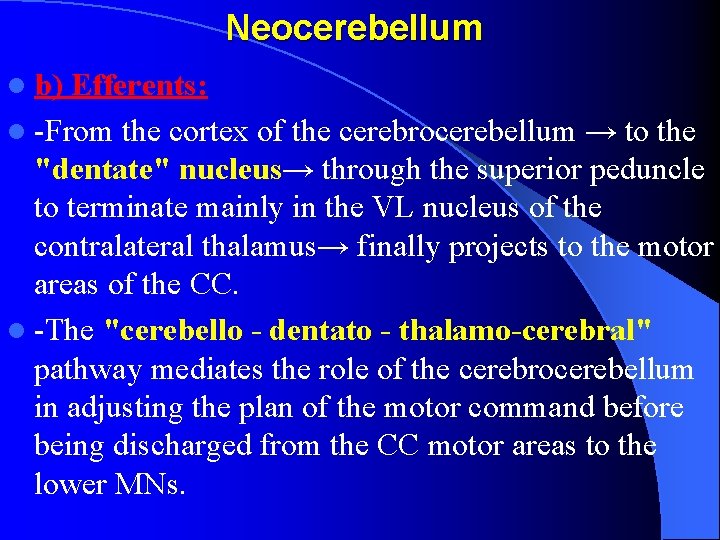 Neocerebellum l b) Efferents: l -From the cortex of the cerebrocerebellum → to the