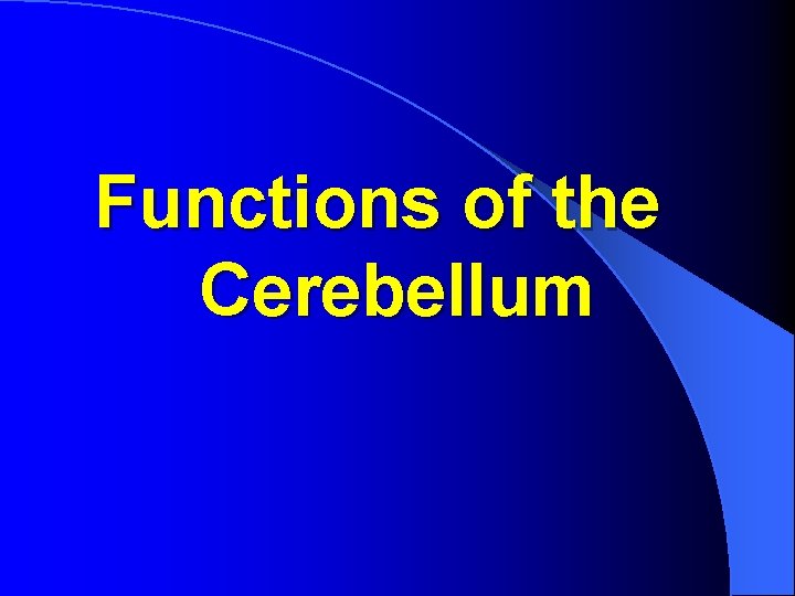 Functions of the Cerebellum 