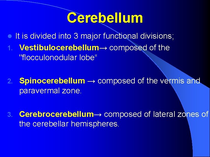 Cerebellum l It is divided into 3 major functional divisions; 1. Vestibulocerebellum→ composed of
