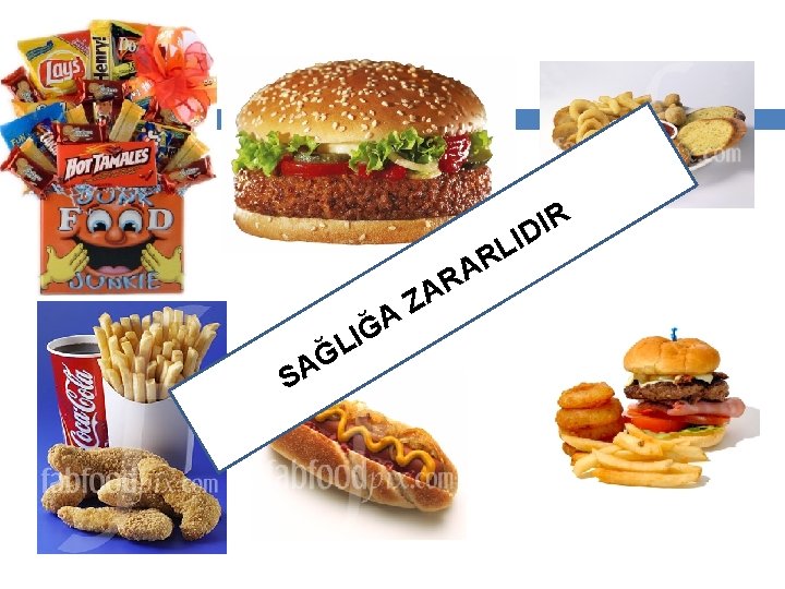 R I D SA I L Ğ ĞA Z A R A I L