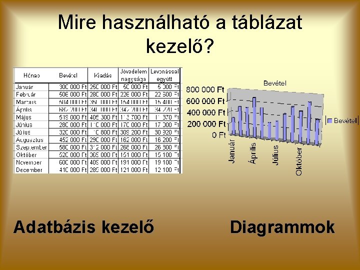 Mire használható a táblázat kezelő? Adatbázis kezelő Diagrammok 