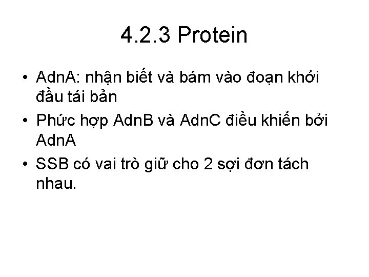 4. 2. 3 Protein • Adn. A: nhận biết và bám vào đoạn khởi