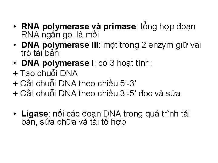  • RNA polymerase và primase: tổng hợp đoạn RNA ngắn gọi là mồi
