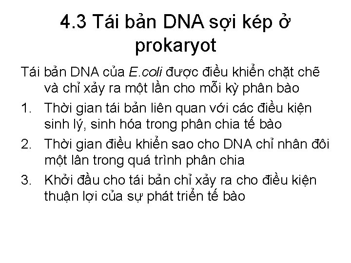 4. 3 Tái bản DNA sợi kép ở prokaryot Tái bản DNA của E.