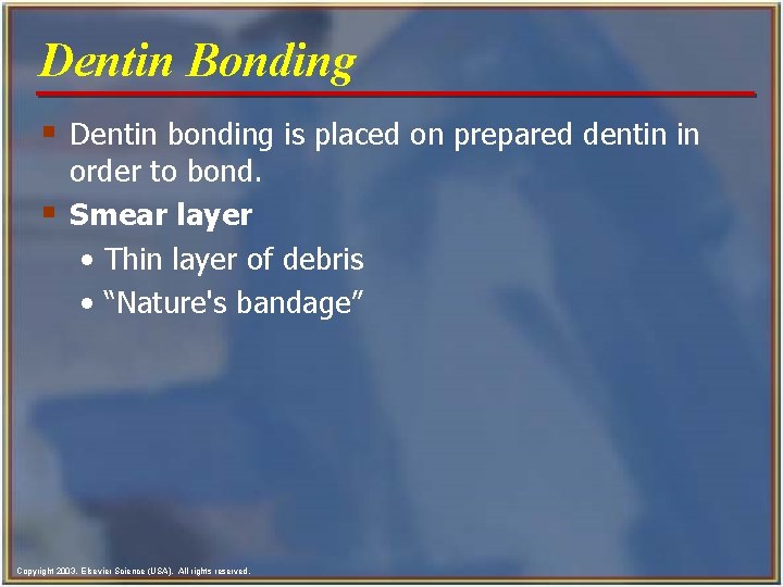 Dentin Bonding § Dentin bonding is placed on prepared dentin in § order to Dentin Bonding § Dentin bonding is placed on prepared dentin in § order to