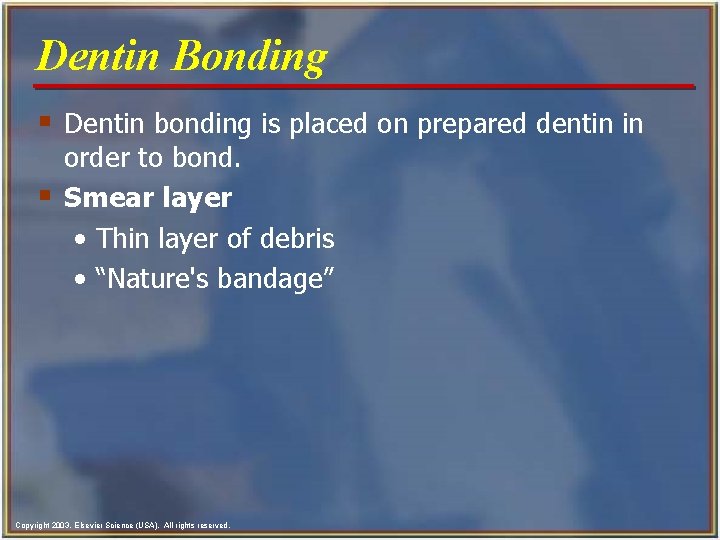 Dentin Bonding § Dentin bonding is placed on prepared dentin in § order to