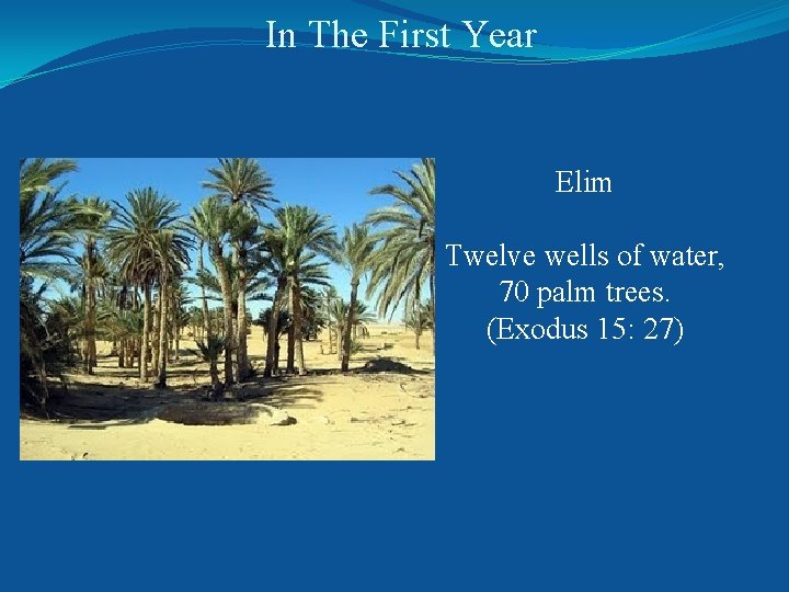 In The First Year Elim Twelve wells of water, 70 palm trees. (Exodus 15: