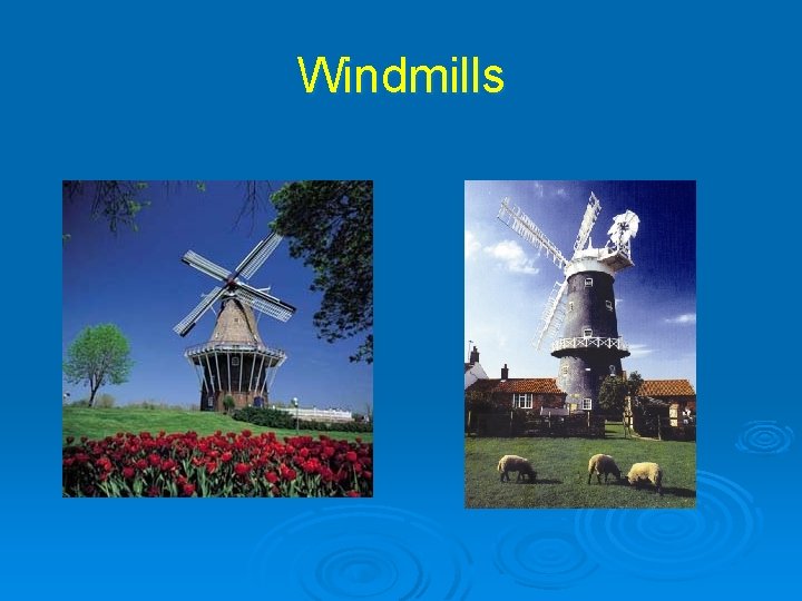 Windmills 