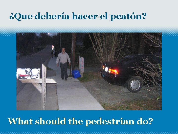 ¿Que debería hacer el peatón? What should the pedestrian do? 