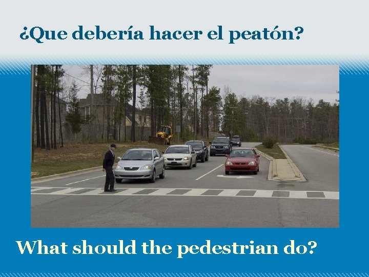 ¿Que debería hacer el peatón? What should the pedestrian do? 