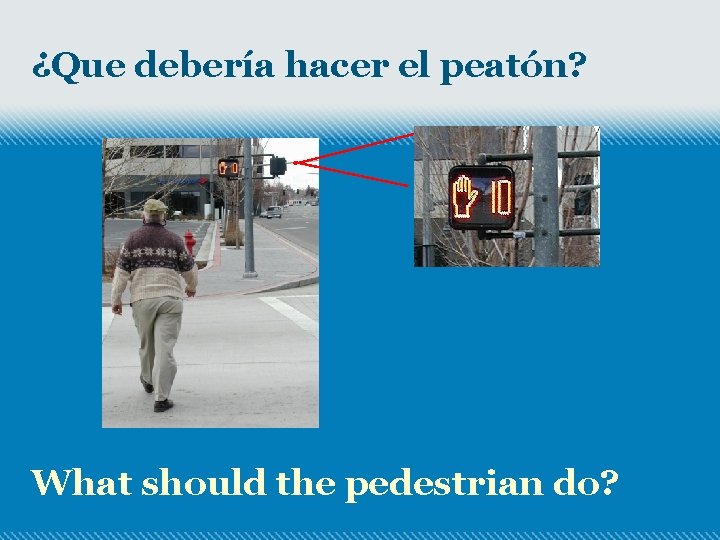 ¿Que debería hacer el peatón? What should the pedestrian do? 