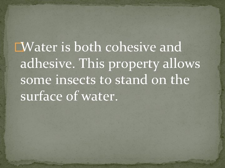 �Water is both cohesive and adhesive. This property allows some insects to stand on