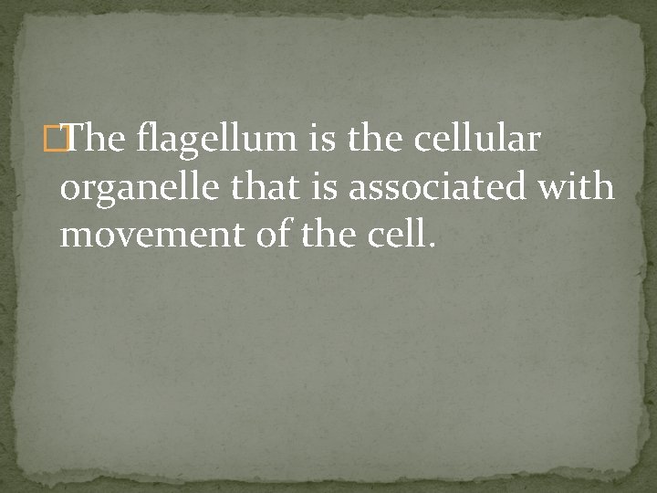 �The flagellum is the cellular organelle that is associated with movement of the cell.