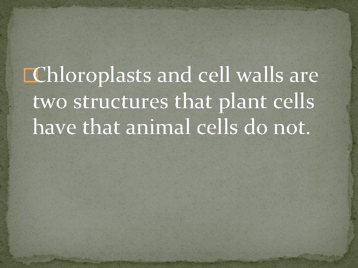 �Chloroplasts and cell walls are two structures that plant cells have that animal cells