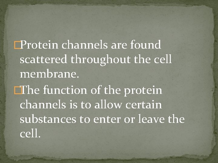 �Protein channels are found scattered throughout the cell membrane. �The function of the protein