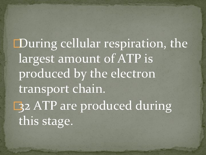 �During cellular respiration, the largest amount of ATP is produced by the electron transport