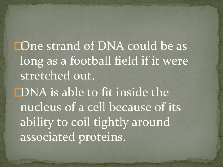 �One strand of DNA could be as long as a football field if it