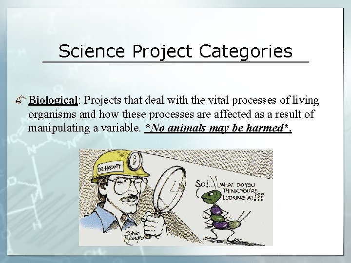 Science Project Categories Biological: Projects that deal with the vital processes of living organisms