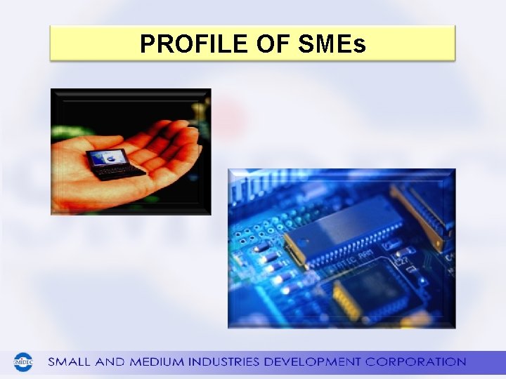 PROFILE OF SMEs 