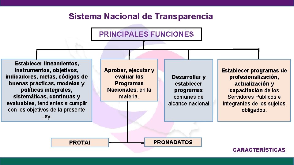 Sistema Nacional de Transparencia PRINCIPALES FUNCIONES Establecer lineamientos, instrumentos, objetivos, indicadores, metas, códigos de