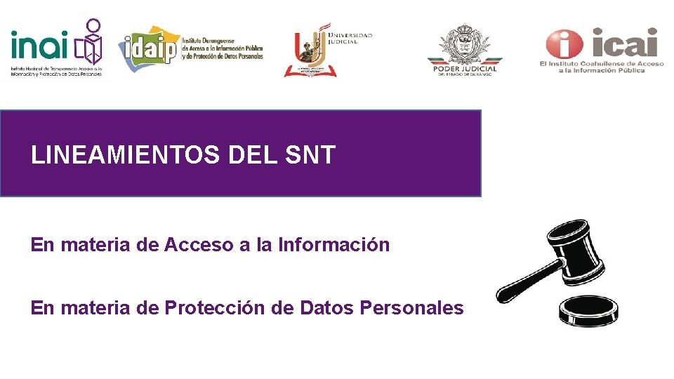 LINEAMIENTOS DEL SNT En materia de Acceso a la Información En materia de Protección