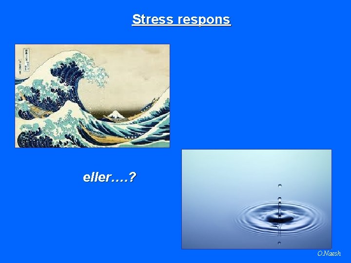 Stress respons eller…. ? O. Naesh 