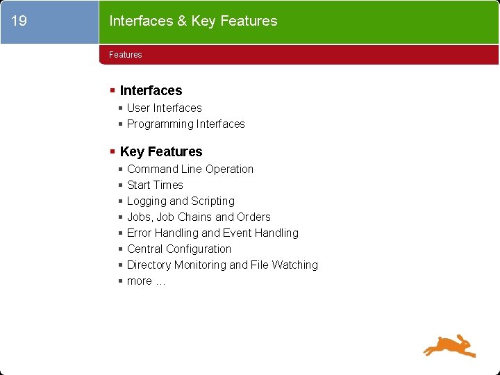 19 Interfaces & Key Features § Interfaces § User Interfaces § Programming Interfaces §