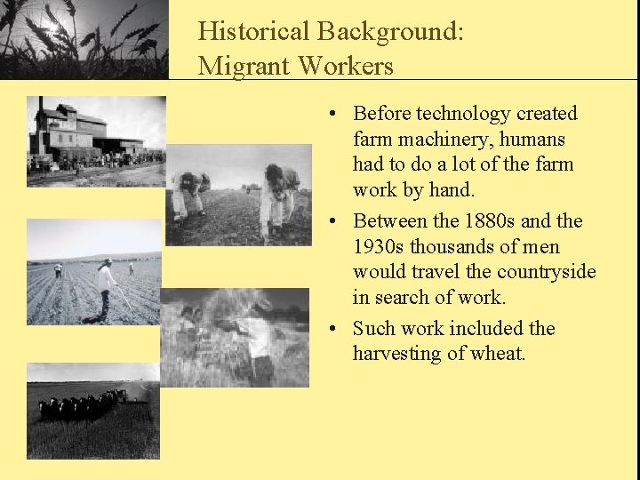 Historical Background: Migrant Workers • Before technology created farm machinery, humans had to do