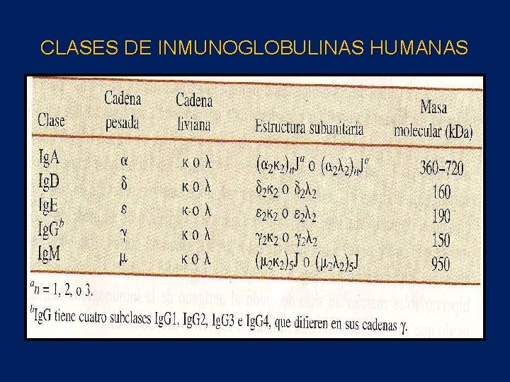 CLASES DE INMUNOGLOBULINAS HUMANAS 