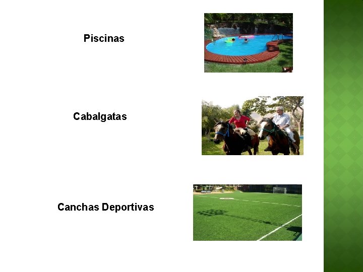 Piscinas Cabalgatas Canchas Deportivas 