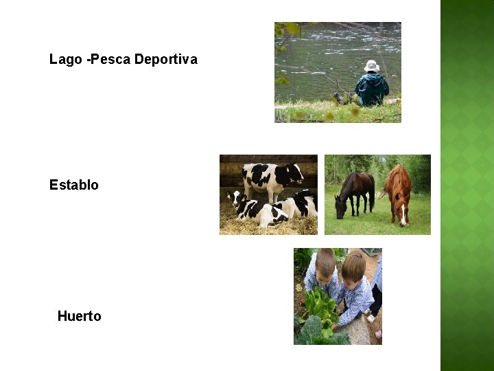Lago -Pesca Deportiva Establo Huerto 